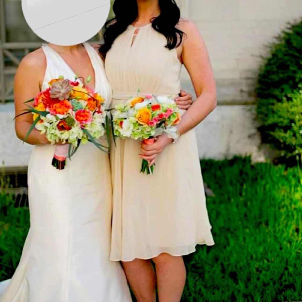 David’s Bridal knee length bridesmaid dress.